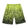 2021 Summer Men\'s 3D Printing Shorts Loose Straight Mens Quick Dry Beach Shorts